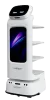 CADEBOT L100